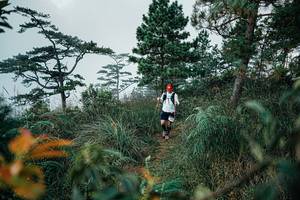 BIB: 
                            <button type="button" onclick="openModal(25260507)" class="btn btn-primary btn-sm float-right btn-popup" data-toggle="modal" data-target=".modal-high-quality">
                        <i class="fas fa-shopping-cart"></i> Add to Cart
                    </button>
                                            <button type="button" onclick="isThisMe(25260507, true)" class="btn btn-success btn-sm float-right btn-popup btn-isme hidden" data-toggle="tooltip" data-placement="bottom" title="นี่คือรูปของคุณใช่ไหม คลิกที่นี่เพื่อเอาเข้าอัลบั้ม">
                        <i class="fas fa-plus"></i> Add to album
                    </button>
                    <button type="button" onclick="isThisMe(25260507, false)" class="btn btn-warning btn-sm float-right btn-popup btn-isnotme hidden">
                        <i class="fas fa-ban"></i> Remove from album
                    </button>